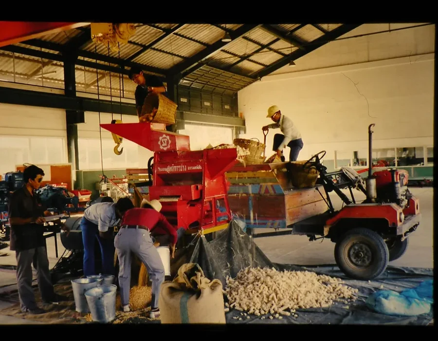 Corn thresher machine performance test