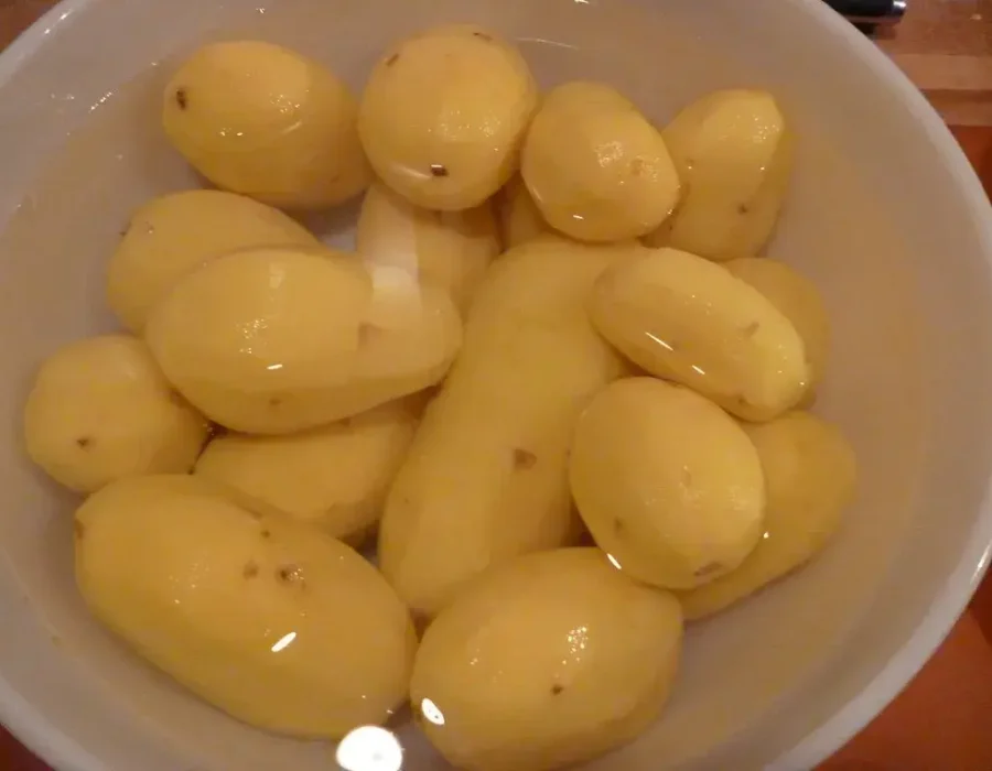 domestic potato peeler X6 for restaurant canteen